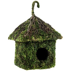 Galapagos Shack Deco Birdhouse, Fresh Green