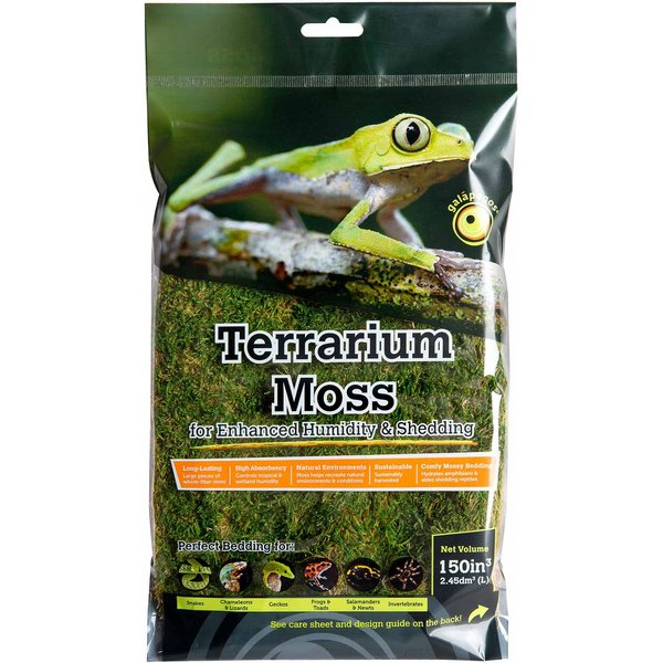 Galapagos Sheet Moss