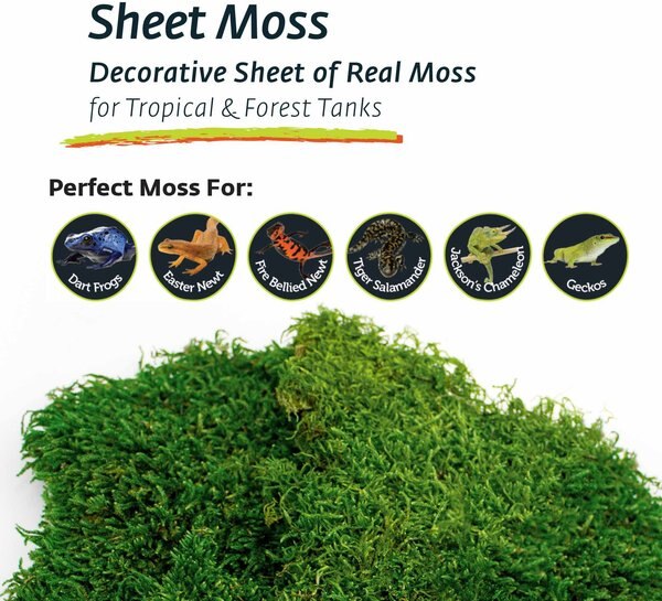 Galapagos Sheet Moss Reptile & Amphibian Terrarium Moss, Fresh Green