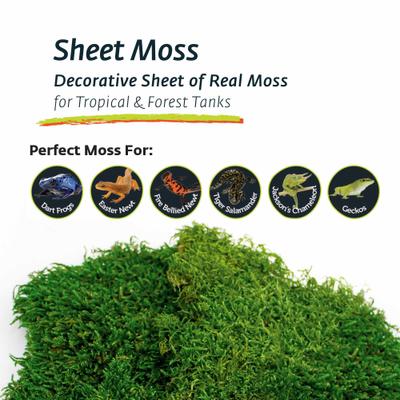 Show full view: Galapagos Sheet Moss Reptile & Amphibian Terrarium Moss, Fresh Green, 8-qt bag slide 7 of 9