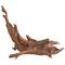 Show in main carousel: Galapagos Sinkable Driftwood Terrarium & Aquarium Accessory, Natural, Large slide 1 of 10