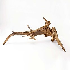 Galapagos Sinkable Driftwood Terrarium & Aquarium Accessory, Natural, Large slide 2 of 9