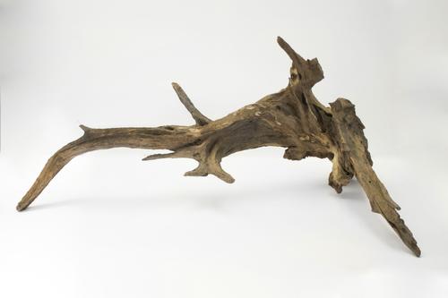 Show full view: Galapagos Sinkable Driftwood Terrarium & Aquarium Accessory, Natural, Large slide 3 of 10