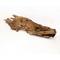 Show in main carousel: Galapagos Sinkable Driftwood Terrarium & Aquarium Accessory, Natural, Large slide 8 of 10