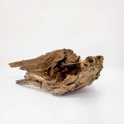 Show full view: Galapagos Sinkable Driftwood Terrarium & Aquarium Accessory, Natural, Large slide 9 of 10