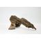 Show in main carousel: Galapagos Sinkable Driftwood Terrarium & Aquarium Accessory, Natural, Medium/Large slide 6 of 7