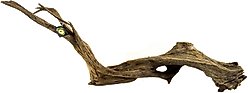 Galapagos Sinkable Driftwood Terrarium & Aquarium Accessory, Natural, Natural, Huge