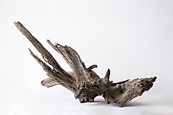 Galapagos Sinkable Driftwood Terrarium & Aquarium Accessory, Natural, Natural, Huge slide 2 of 9
