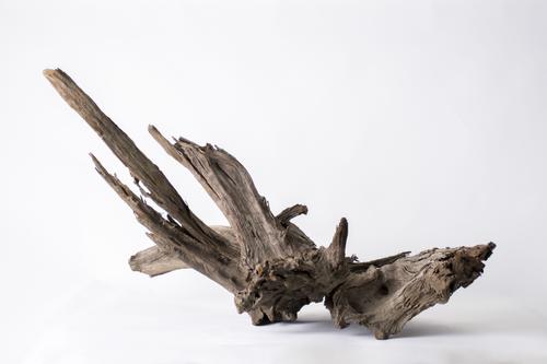 Show full view: Galapagos Sinkable Driftwood Terrarium & Aquarium Accessory, Natural, Natural, Huge slide 2 of 10