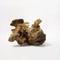 Show in main carousel: Galapagos Sinkable Driftwood Terrarium & Aquarium Accessory, Natural, Small slide 9 of 10