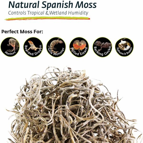 Galapagos Spanish Moss Reptile Terrarium Moss, 150 cubic inch bag
