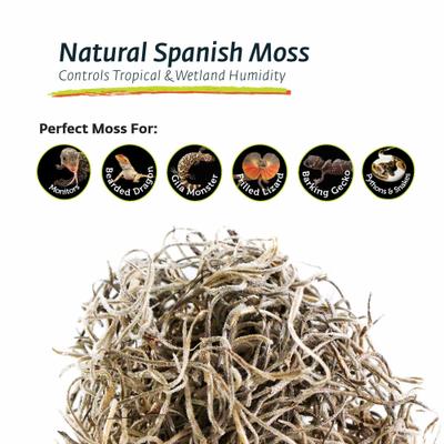 Show full view: Galapagos Spanish Moss Reptile Terrarium Moss, 150 cubic inch bag slide 5 of 5