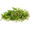 Show in main carousel: Galapagos Sphagnum Reptile, Amphibian & Insect Terrarium Moss, Fresh Green, 4-qt bag slide 2 of 7