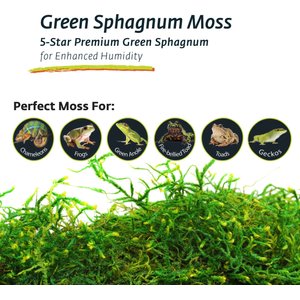 Galapagos Sphagnum Reptile, Amphibian & Insect Terrarium Moss, Fresh Green, 4-qt bag