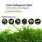 Show in main carousel: Galapagos Sphagnum Reptile, Amphibian & Insect Terrarium Moss, Fresh Green, 4-qt bag slide 5 of 7