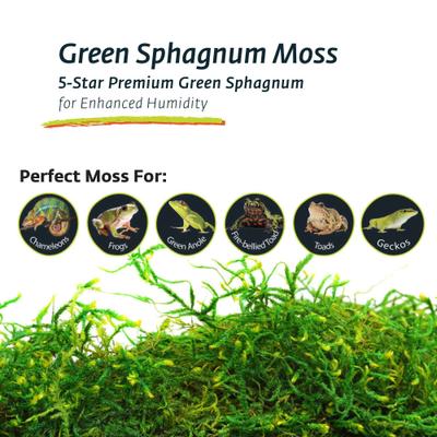 Show full view: Galapagos Sphagnum Reptile, Amphibian & Insect Terrarium Moss, Fresh Green, 4-qt bag slide 5 of 7
