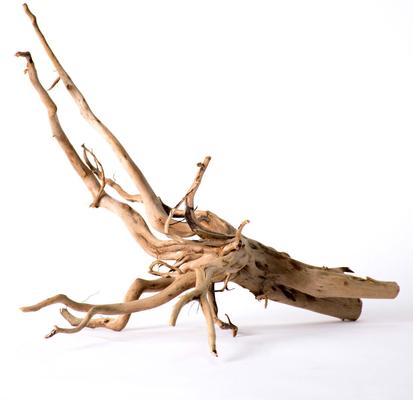 Show full view: Galapagos Spiderwood Aquarium & Terrarium Accessory, Natural slide 5 of 10