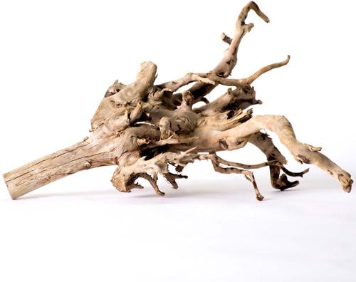 Show full view: Galapagos Spiderwood Aquarium & Terrarium Accessory, Natural slide 6 of 10