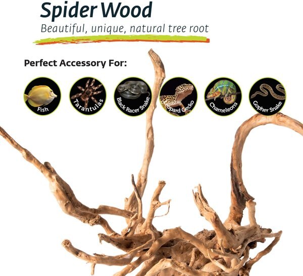 Galapagos Spiderwood Aquarium & Terrarium Accessory, Natural