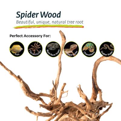Show full view: Galapagos Spiderwood Aquarium & Terrarium Accessory, Natural slide 7 of 10