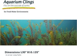 Galapagos Terrarium Background, Aquatic Plant