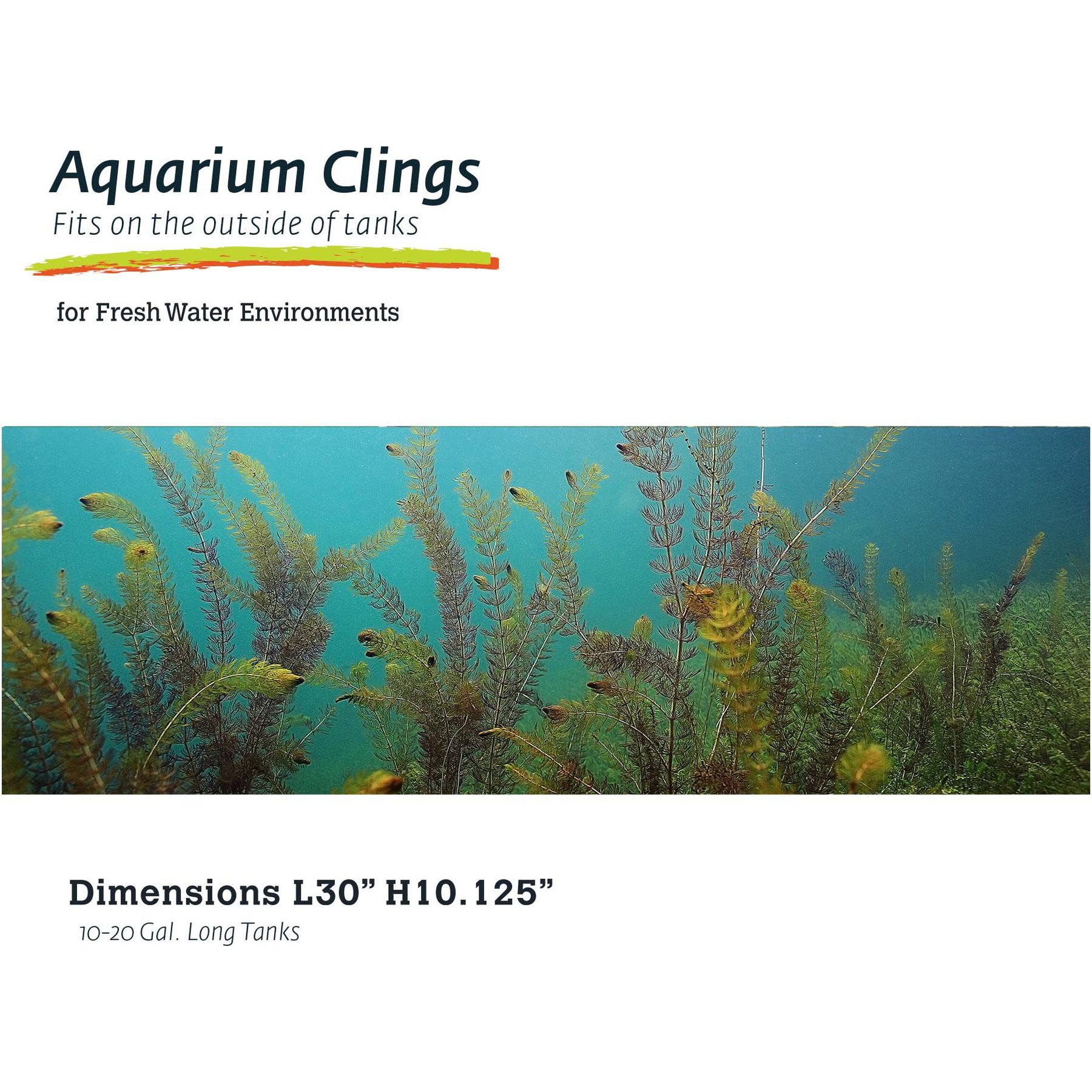 Galapagos Terrarium Background, Aquatic Plant
