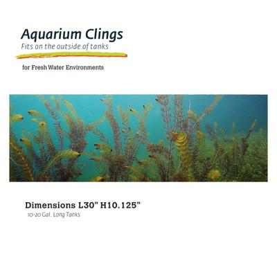 Show full view: Galapagos Terrarium Background, Aquatic Plant slide 1 of 7