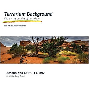 Galapagos Terrarium Background, Arid