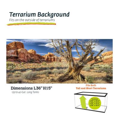 Show full view: Galapagos Terrarium Background, Desert slide 1 of 7