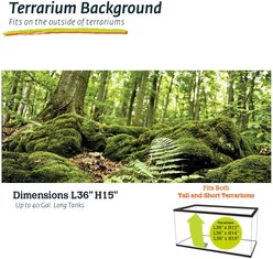 Galapagos Terrarium Background, Forest