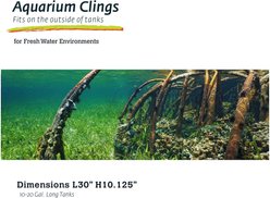 Galapagos Terrarium Background, Mangrove