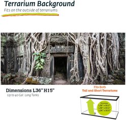 Galapagos Terrarium Background, Temple