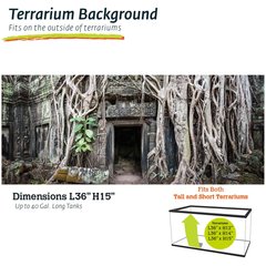Galapagos Terrarium Background, Temple