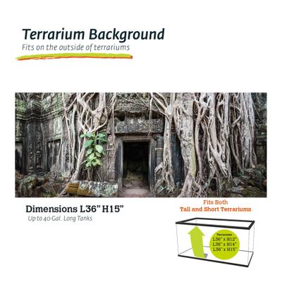 Show full view: Galapagos Terrarium Background, Temple slide 1 of 6