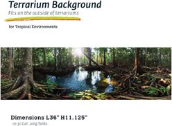 Galapagos Terrarium Background, Tropical