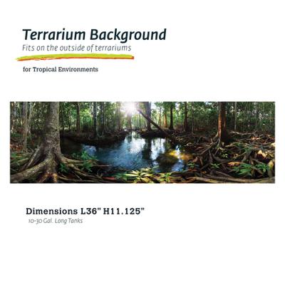 Show full view: Galapagos Terrarium Background, Tropical slide 1 of 7