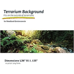 Galapagos Terrarium Background, Woodland