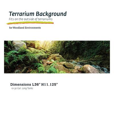 Show full view: Galapagos Terrarium Background, Woodland slide 1 of 7