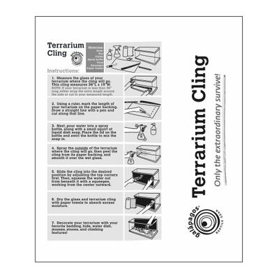 Galapagos Terrarium Background