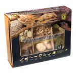 Lee's Aquarium & Pets Firebelly Landing Frogs & Toads Habitat