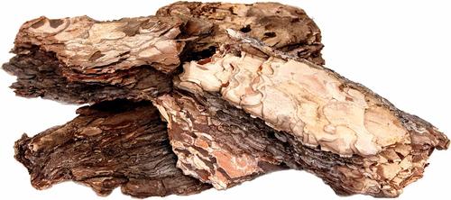 Show full view: Galapagos Terrarium Starter Kit, Arid slide 5 of 10