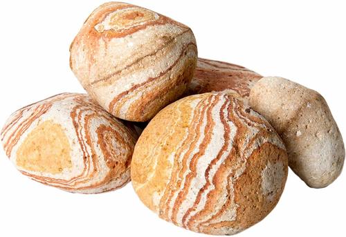 Show full view: Galapagos Terrarium Starter Kit, Arid slide 7 of 10