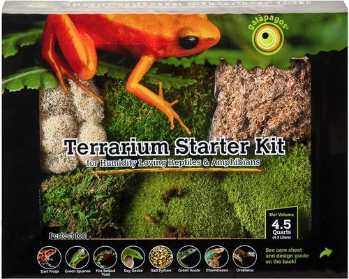 Galapagos Terrarium Starter Kit