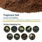Show in main carousel: Galapagos Tropicoco Coconut Soil Reptile Bedding, 8-qt bag slide 6 of 8