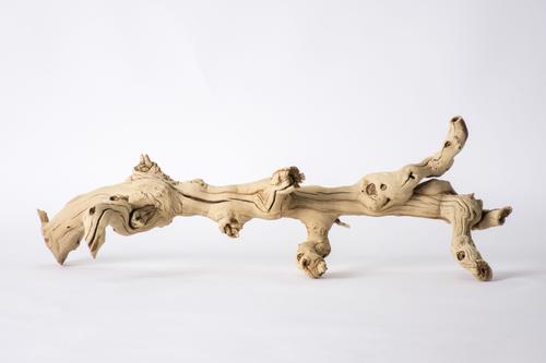 Show full view: Galapagos Walking Wood Grapevine Branch Reptile Terrarium Accessory, 19-24-in slide 4 of 7