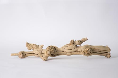 Show full view: Galapagos Walking Wood Grapevine Branch Reptile Terrarium Accessory, 19-24-in slide 5 of 7