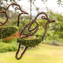 Galapagos Woven Bird Feeder, Dove, Fresh Green, 7-in slide 2 of 4