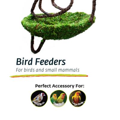 Show full view: Galapagos Woven Bird Feeder, Dove, Fresh Green, 7-in slide 4 of 4