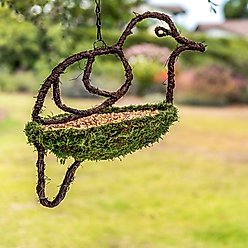 Galapagos Woven Bird Feeder, Dove, Fresh Green, 9.5-in slide 2 of 6