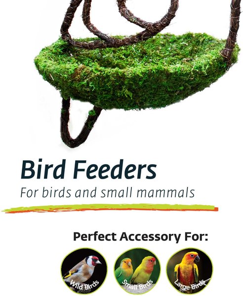 Galapagos Woven Bird Feeder, Dove, Fresh Green